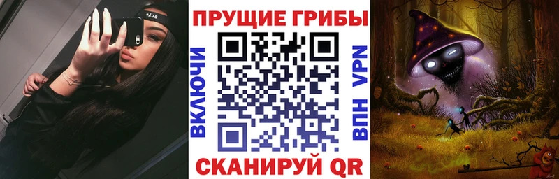 как найти наркотики  Дивногорск  Галлюциногенные грибы GOLDEN TEACHER 