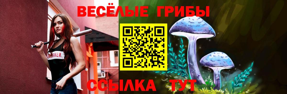 Галлюциногенные грибы прущие грибы  Вход с VPN  Дивногорск 