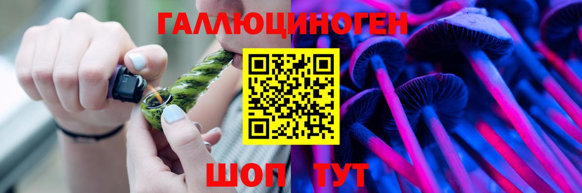 Псилоцибиновые грибы прущие грибы Дивногорск